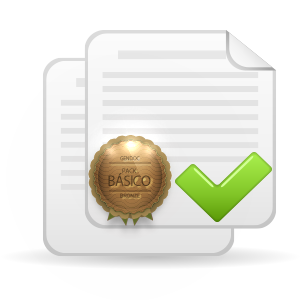 Pack básico ISO 9001